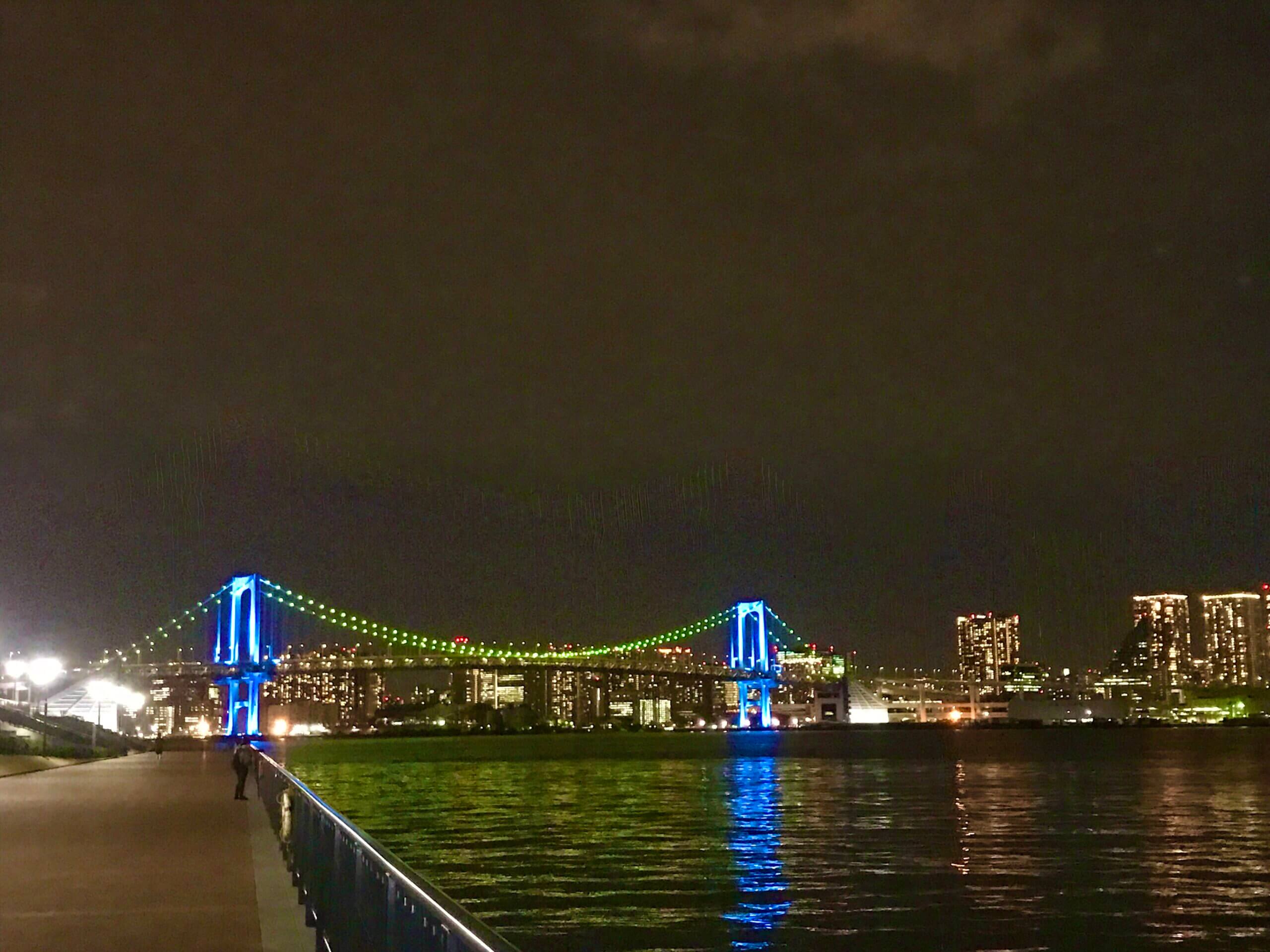 東京の夜景満喫ライド 豊洲ぐるり公園 お台場海浜公園 自転車初心者に最適 自然の歩き方