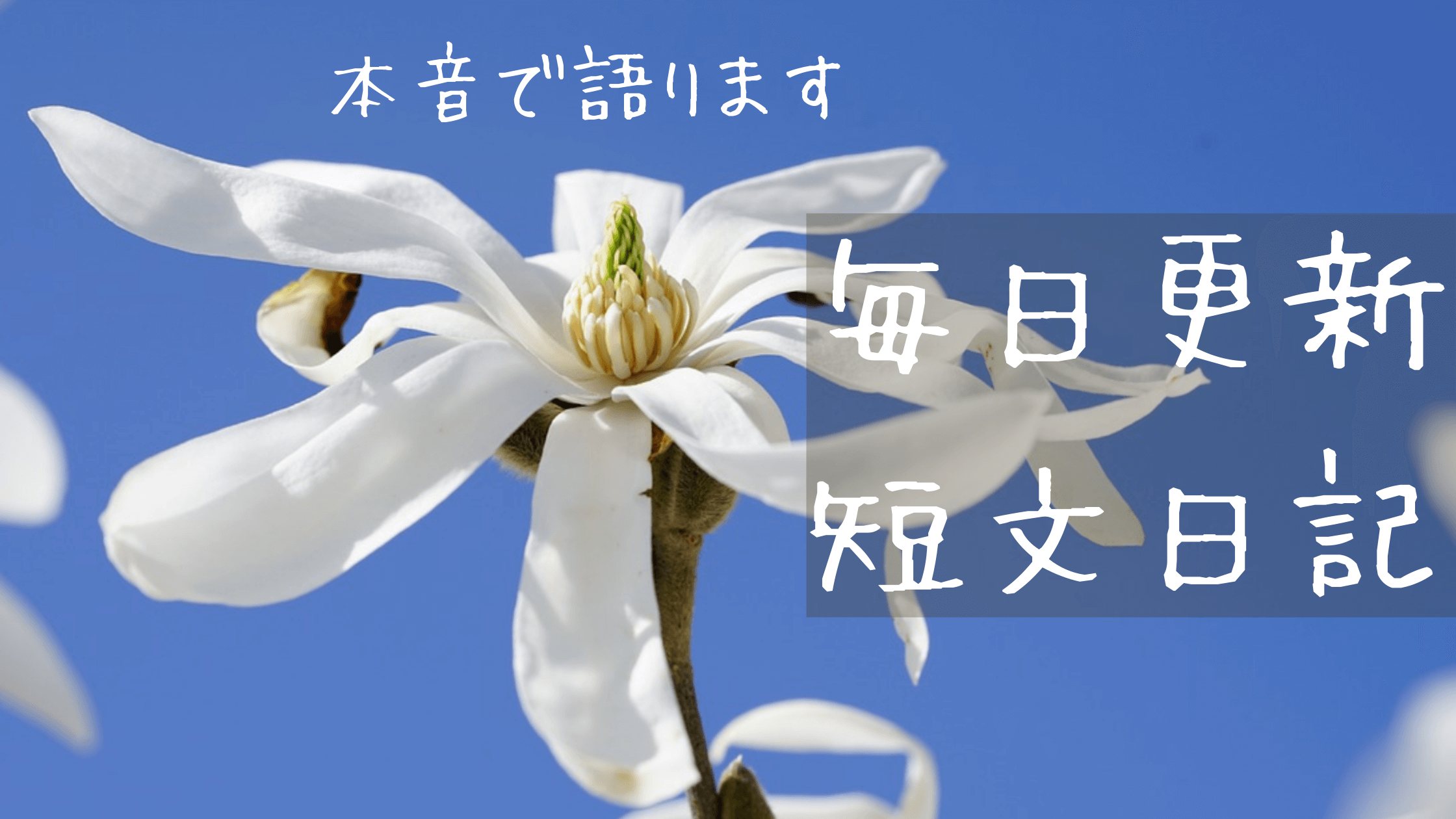 ほぼ毎日更新 短文日記 21 02 28 独学で灘 東大へ